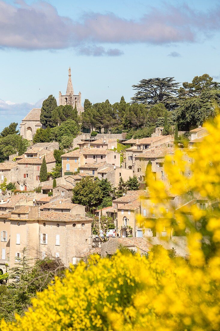 France, Vaucluse, regional natural reserve of Luberon, Bonnieux