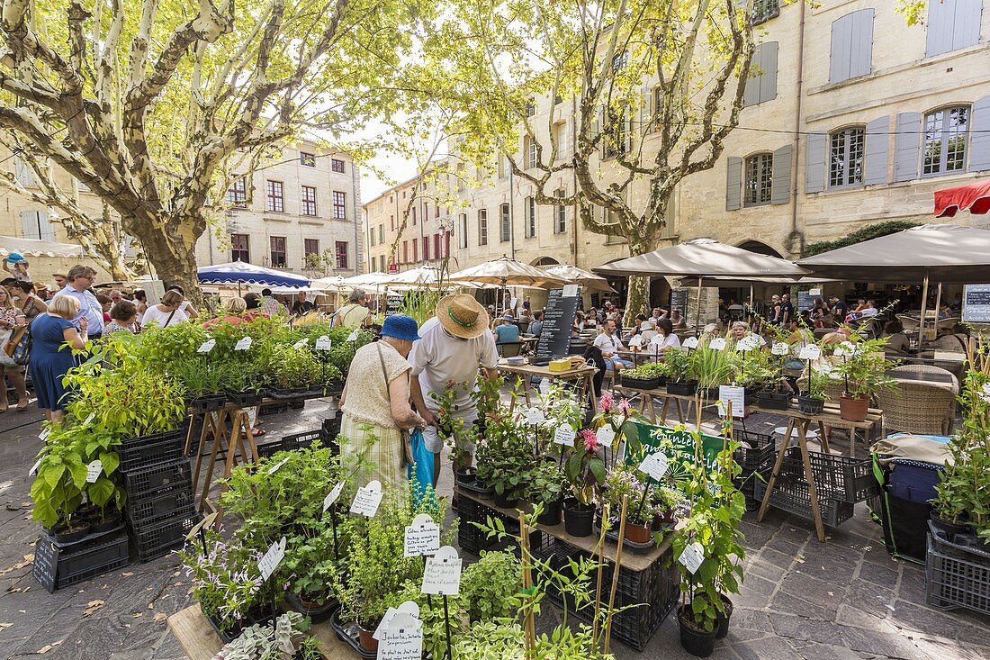 France, Gard, Pays d'Uzege, Uzes, market day on the Place aux Herbes