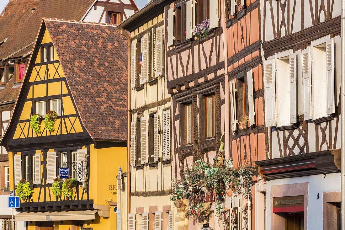 Frankreich, Haut Rhin, Weinstraße des Elsass, Colmar, Bezirk Krutenau im Bezirk La Petite Venise, Kai der Poissonerie