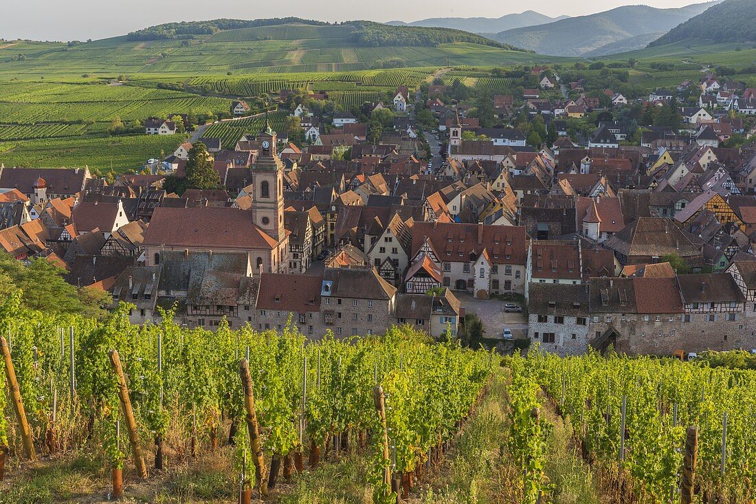 France, Haut Rhin, Route des Vins d'Alsace, Riquewihr labelled Les Plus Beaux Villages de France (One of the Most Beautiful Villages of France)