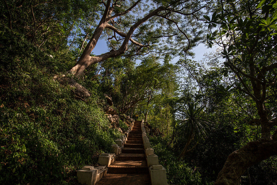 Hiking trail to Mount Phou Si in Luang Prabang, Laos, Asia