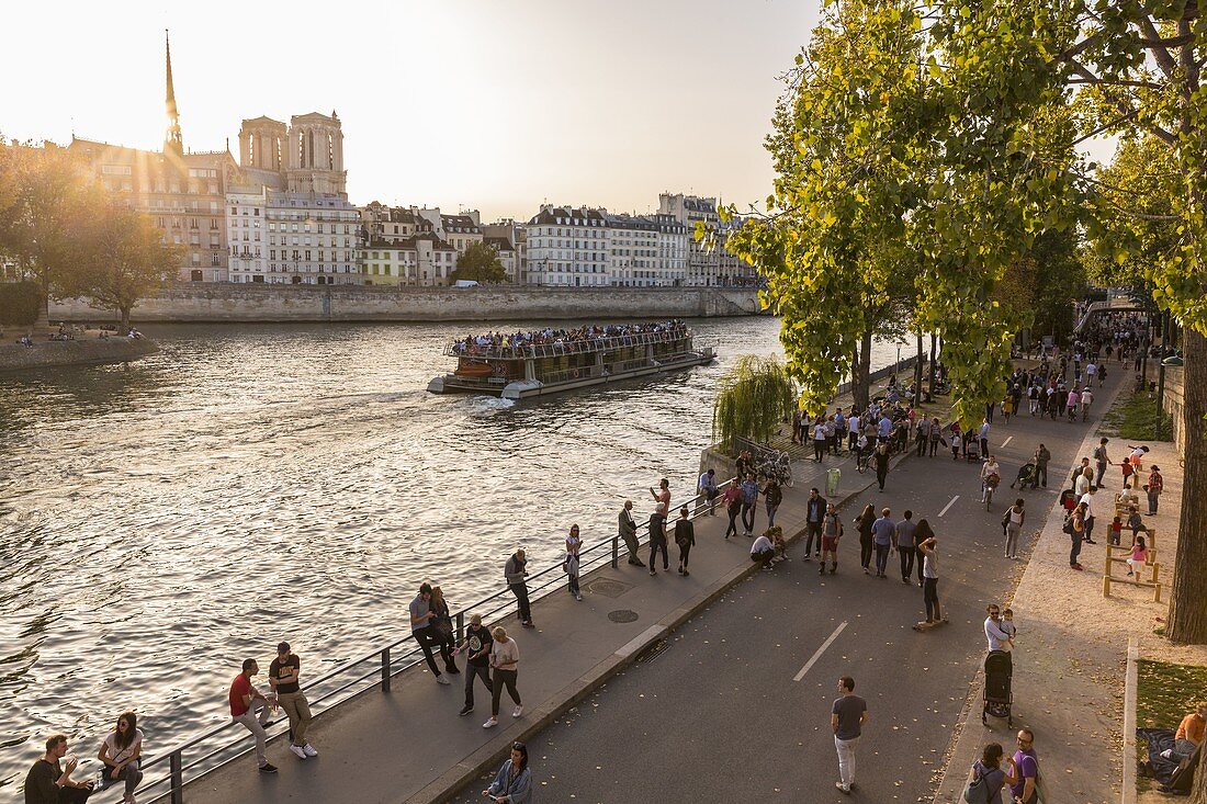 Frankreich, Paris, die Ufer der Seine, die von der UNESCO zum Weltkulturerbe erklärt wurden, die Kathedrale Notre Dame auf der Ile de la Cite seit dem Kai des Rathauses