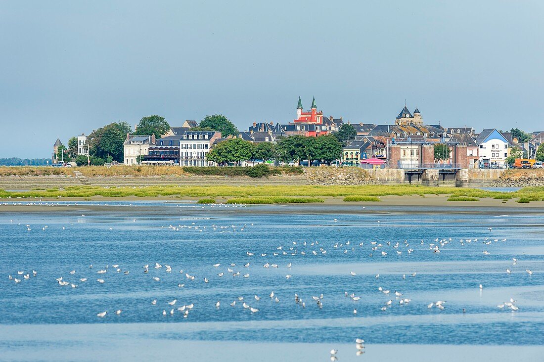 Frankreich, Somme, Baie de Somme, Le Crotoy bei Ebbe