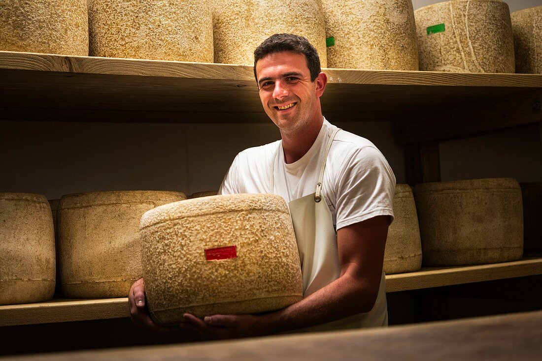France, Cantal, Salers country, Polminhac, Yannick Navarro, Salers AOP cheese producer