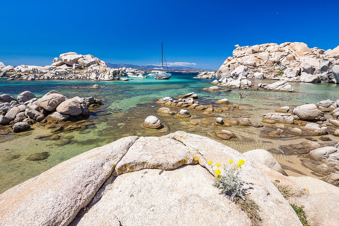 France, South Corsica, Bonifacio, Nature reserve of islands Lavezzi, beach of Cala della Chiesa