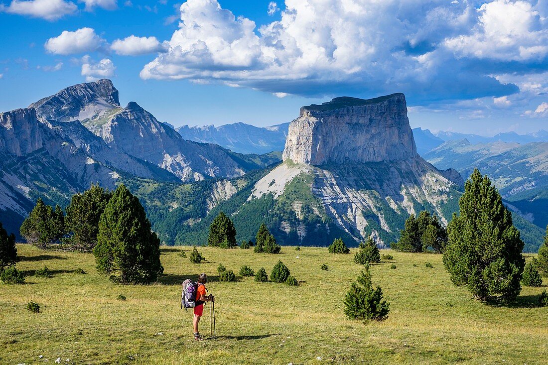 France, Isere, Vercors Regional Natural Park, hiking in the National Nature Reserve of the Vercors Highlands, view over Mount Aiguille (alt : 2087 m) and Grand Veymont (alt : 2341 m), highest point of the Vercors massif ()