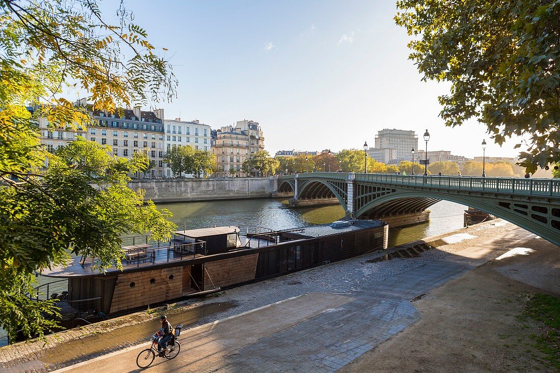 France, Paris, the Rive Gauche quays and the Sully bridge