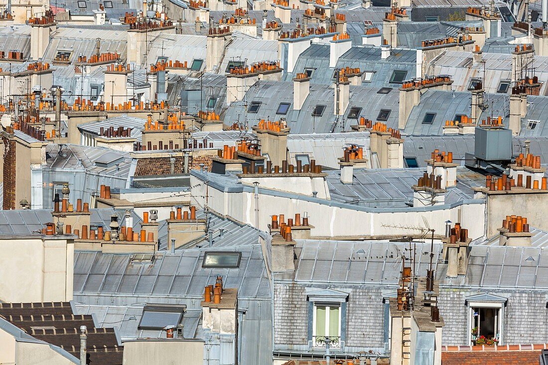 France, Paris, the rooftops of Paris in zinc
