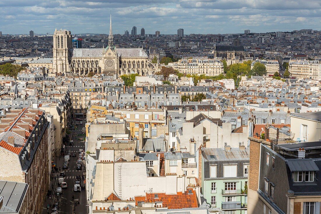 Frankreich, Paris, die Dächer von Paris in Zink und Kathedrale Notre Dame