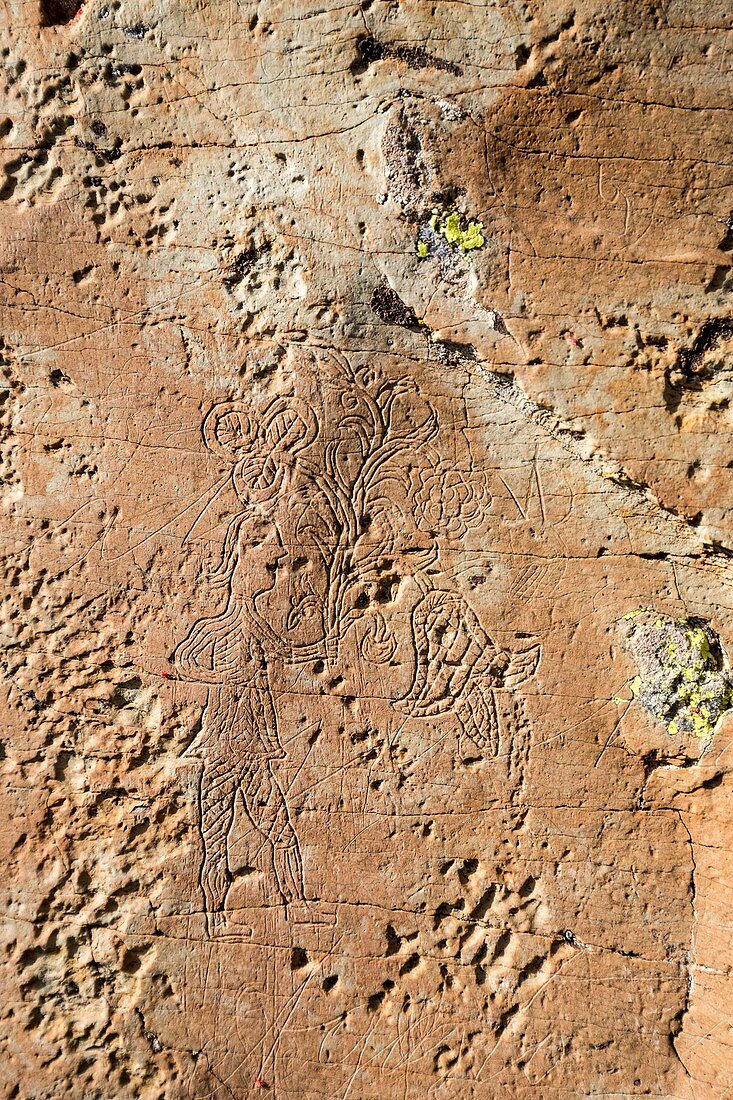 France, Alpes-Maritimes, national park of Mercantour, Roya and Bevera, Casterino, valley of Fontanalba, rupestral engravings of the mount Bégo, the engraving of XVIIIe century, figure of a male character engraved on the said rock "1776"