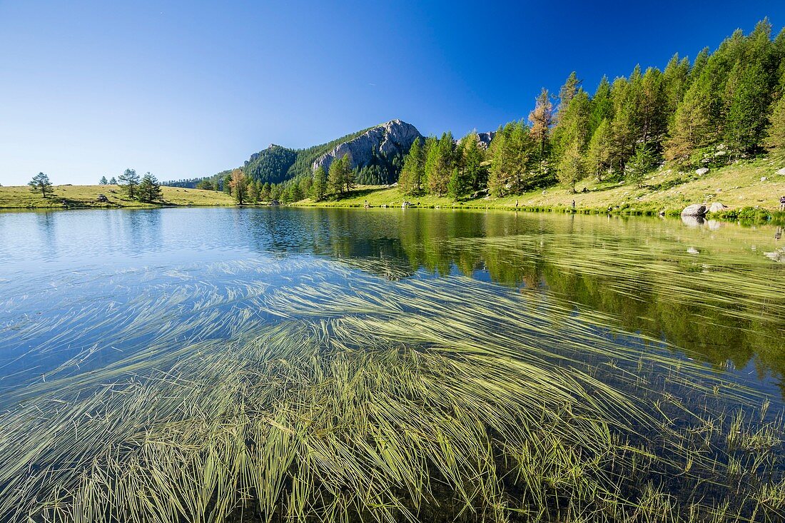 France, Alpes Maritimes, Mercantour National Park, Roya valley, Casterino, valley of Fontanalba, opening day of the trout fishing on the lake of Grenouilles (1997m)