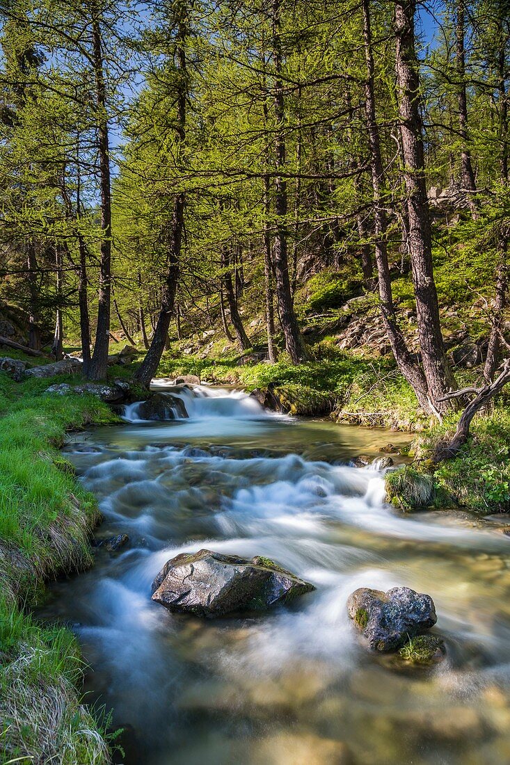 Frankreich, Alpes-de-Haute-Provence, Mercantour-Nationalpark, Haut Verdon, Hochebene von Laus, Fluss Chadoulin