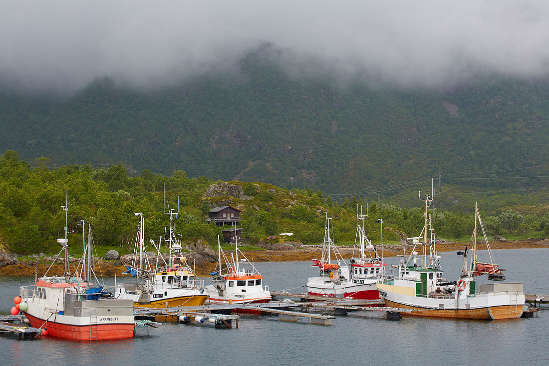 Fischerboote im Hafen von Vestpollen, Austvagsoya, Lofoten, Nordland, Norwegen, Europa