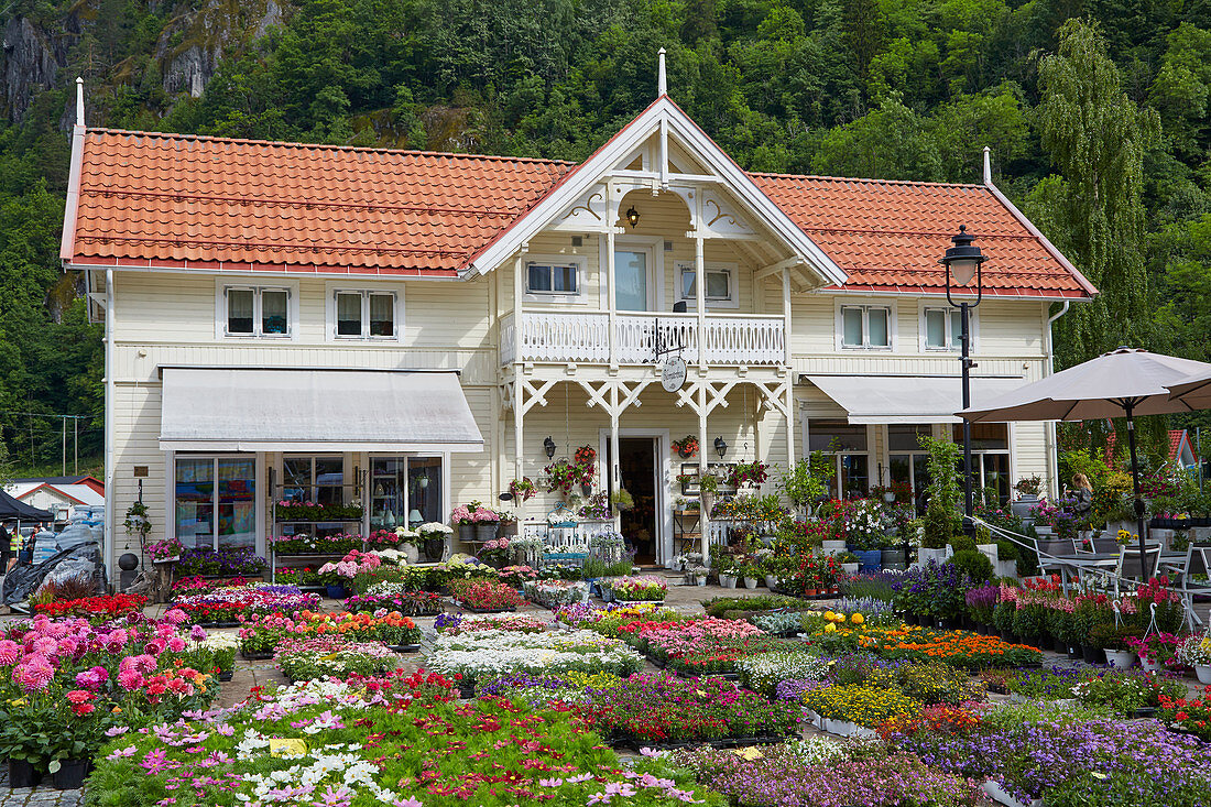 Blumengeschäft in Dalen, Telemark, Norwegen, Europa