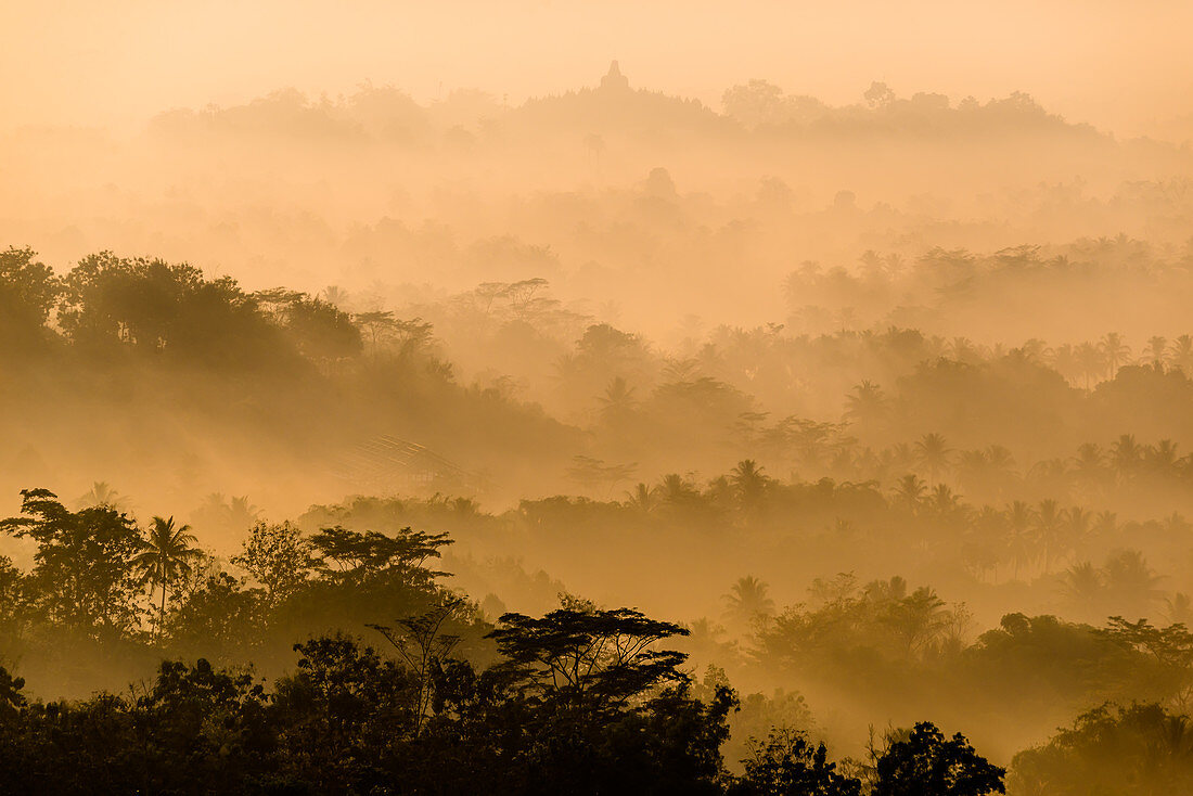 Early fog over Borobudur. Seen from Situmbu Hill, Java Island, Indonesia, Southeast Asia, Asia