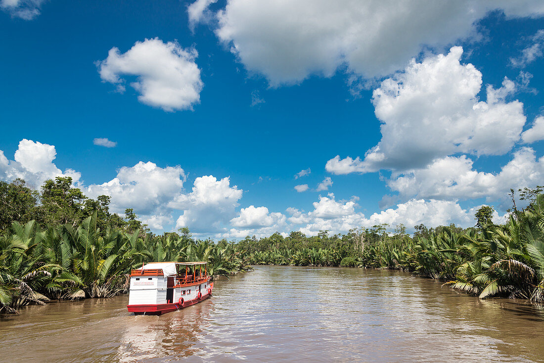 Ausflugsboot auf Fluss im Tanjung Puting Nationalpark, Insel Borneo, Indonesien, Südostasien, Asien