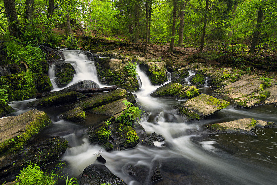 Selke, Selkefall, river, forest, Harz, Saxony-Anhalt, Germany, Europe