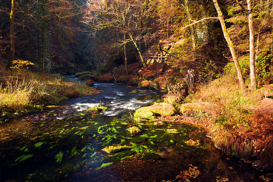 Kamnitz, Fluss, Herbst, Laubfärbung, Nationalpark, Böhmische Schweiz, Tschechien, Europa 