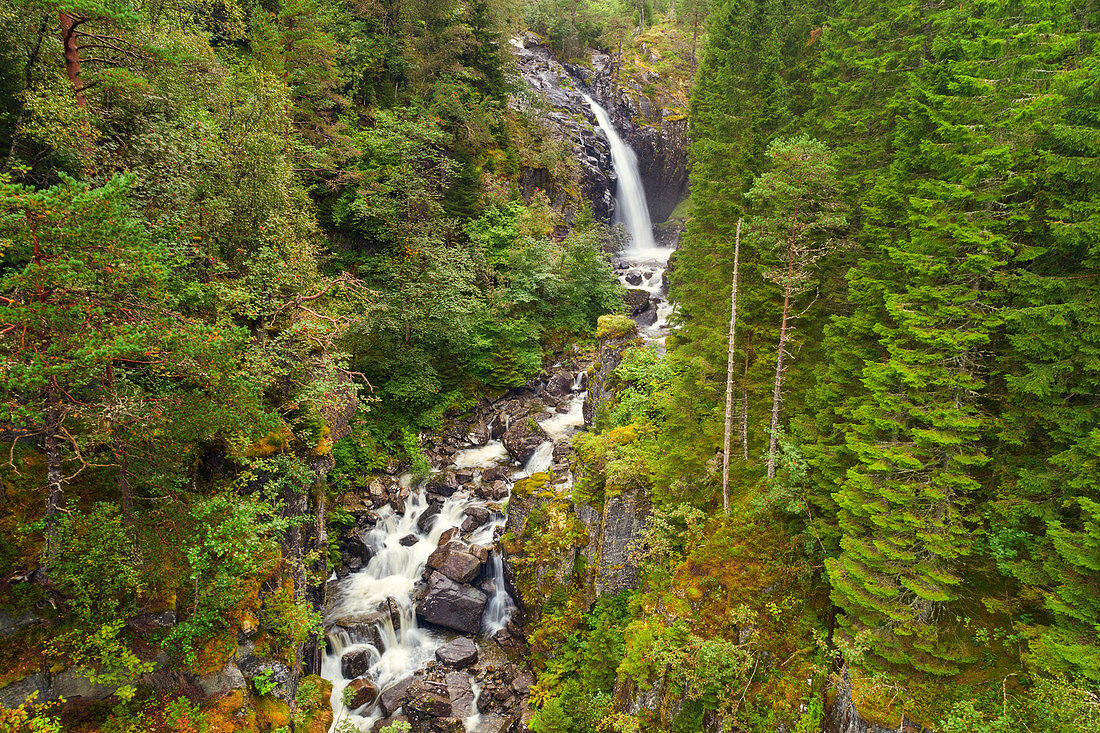 River, waterfall, gorge, valley, mountains, forest, Fjord Norway, Norway, Europe