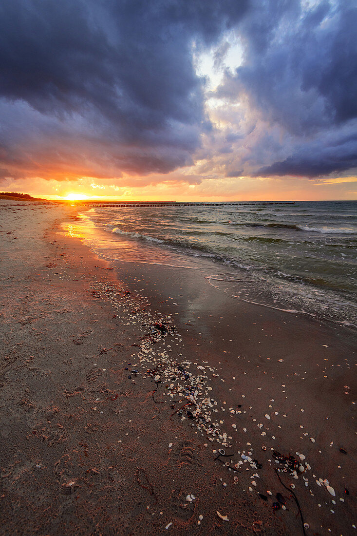 Sunset, beach, groyne, Baltic Sea, Zingst, Prerow, Mecklenburg-Western Pomerania, Germany, Europe