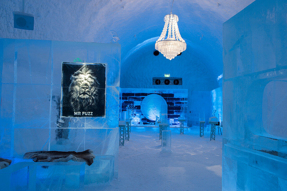 Eisbar, ICEHOTEL 365, das 2016 eröffnet wurde und eine permanente Struktur ist, bietet das ganze Jahr über den Aufenthalt im Icehotel in Jukkasjarvi bei Kiruna im schwedischen Lappland. Nordschweden.