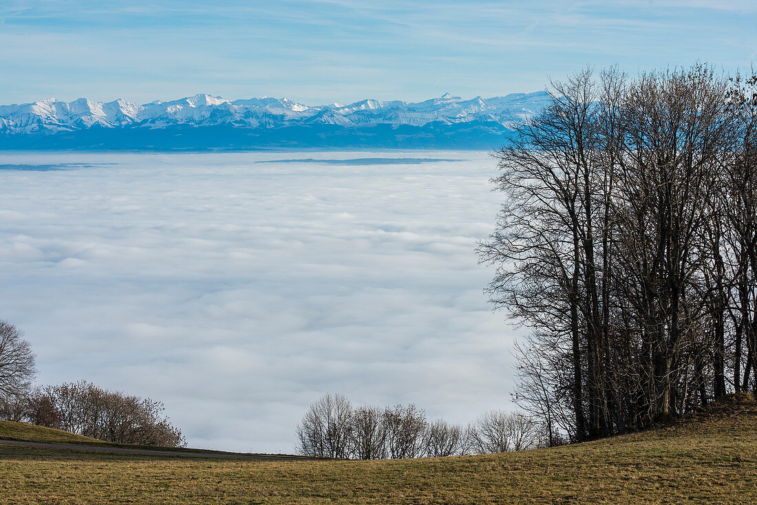 Schweizer Alpen im Winter mit Nebel über dem Neuenburgersee. Schweiz