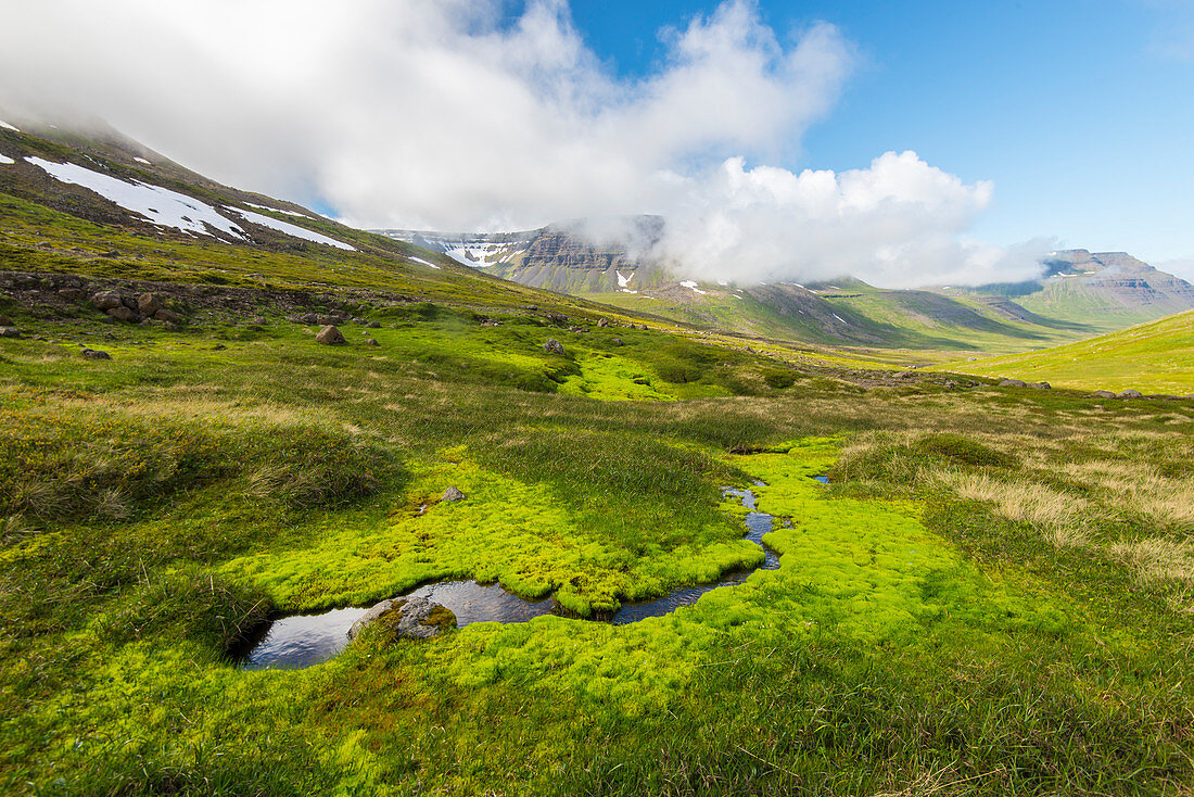 Skalaviki Valley neat Boulungarvik, Westfjords. Iceland