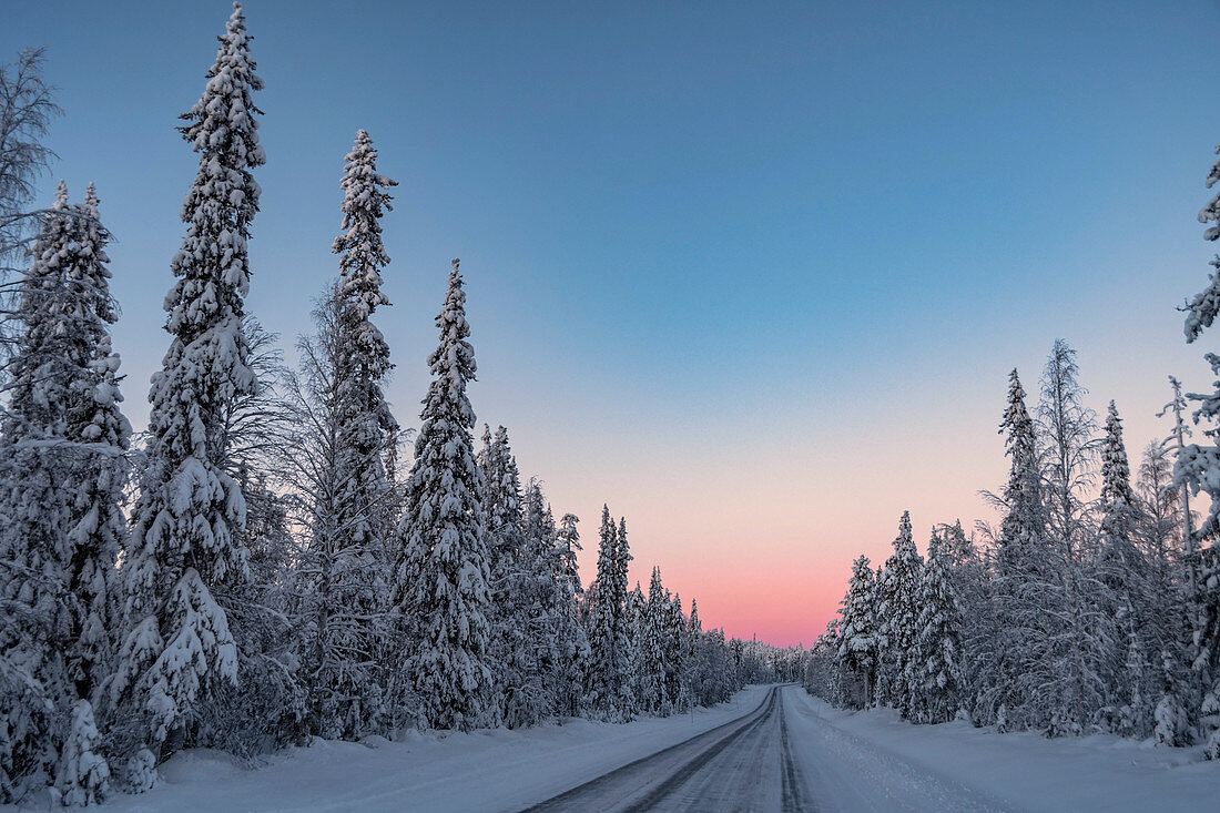 Frozen road and trees with Arctic light close to Luosto, Lapland, Finland