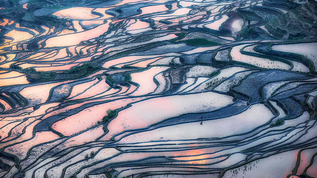 Duoyishu Reisterrasse bei Sonnenaufgang, Yuanyang Reisterrassen, Honghe Yunnan, Südchina, China
