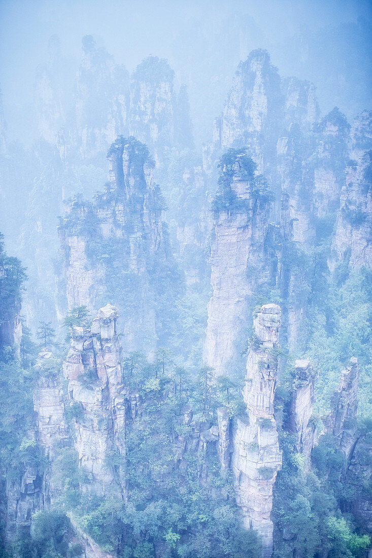 Tianzi Berg im Nebel bei Sonnenaufgang, Zhangjiajie National Forest Park, Hunan, China