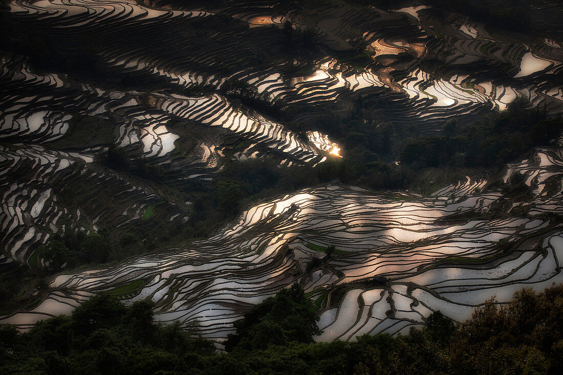 Bada-Reisterrassen im Yuanyang-Reisterrassenbereich, Yunnan, Südchina, China