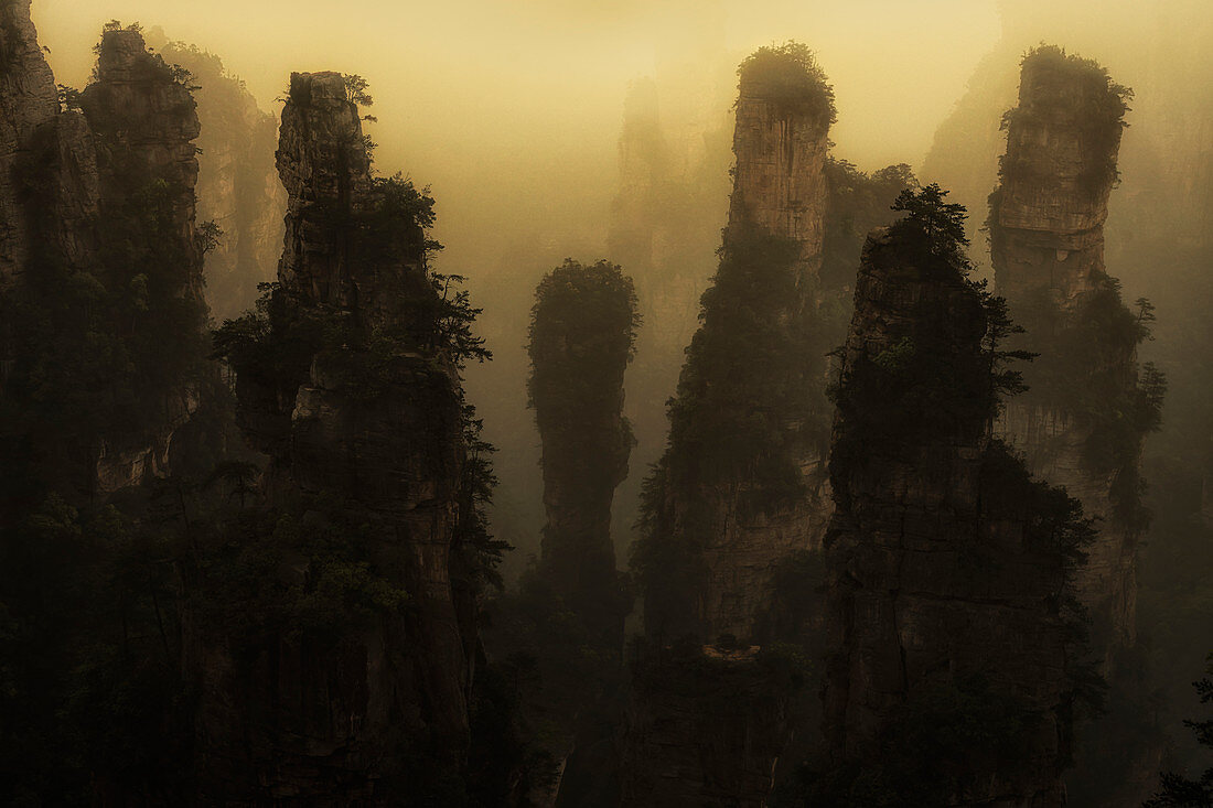Zhangjiajie National Forest Park, Zhangjiajie, Hunan, China
