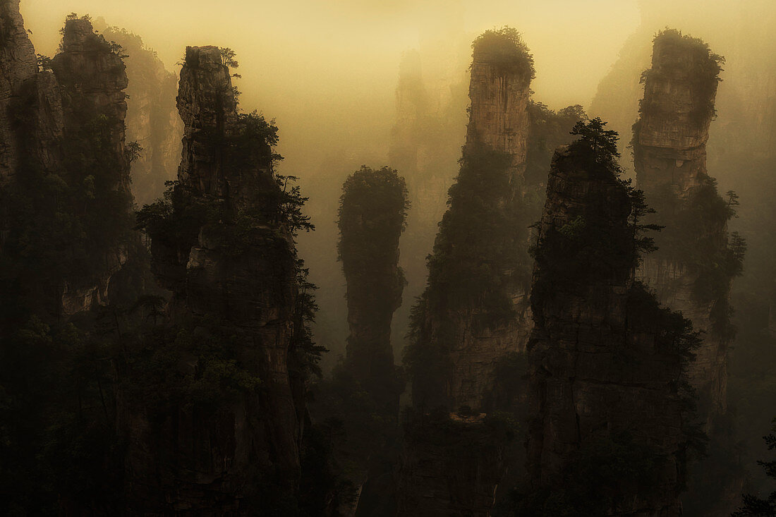 Zhangjiajie national forest park, Zhangjiajie, Hunan, China 