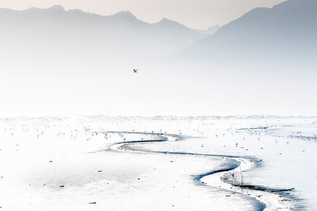 Valdez Fjord bei Ebbe, Prince William Sound, Alaska