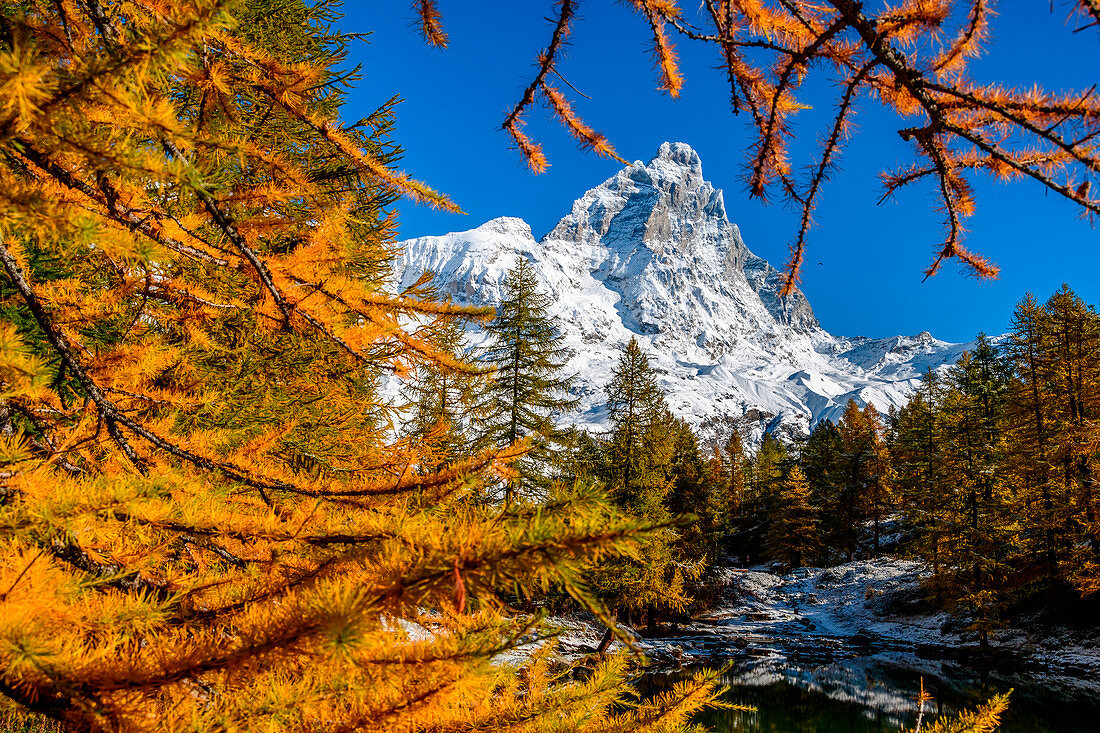 Cervino (Matterhorn) gerahmt zwischen Herbstbäumen, Blu See (Lago Blu), Cervinia, Valtournenche, Aostatal, Italien