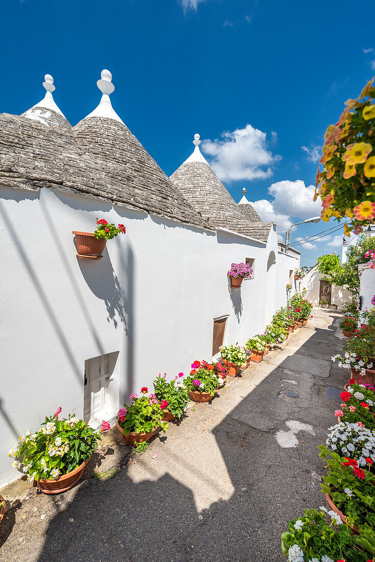 Alberobello, Provinz Bari, Apulien, Italien, Europa. Die typischen Trulli-Hütten