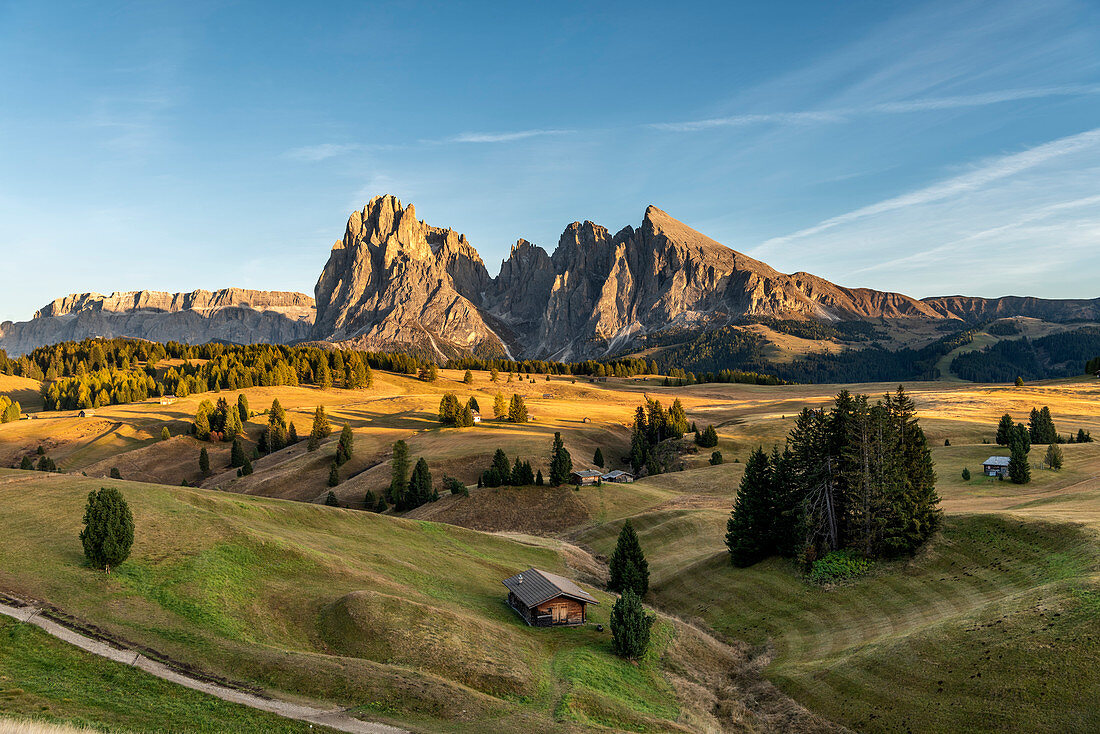 Alpe di Siusi/Seiser Alm, Dolomites, South Tyrol, Italy. Sunset on the Alpe di Siusi/Seiser Alm with the peaks of Sassolungo and Sassopiatto