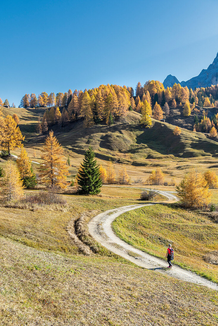 Alta Badia, Provinz Bozen, Südtirol, Italien, Europa. Herbst auf den Armentara-Wiesen