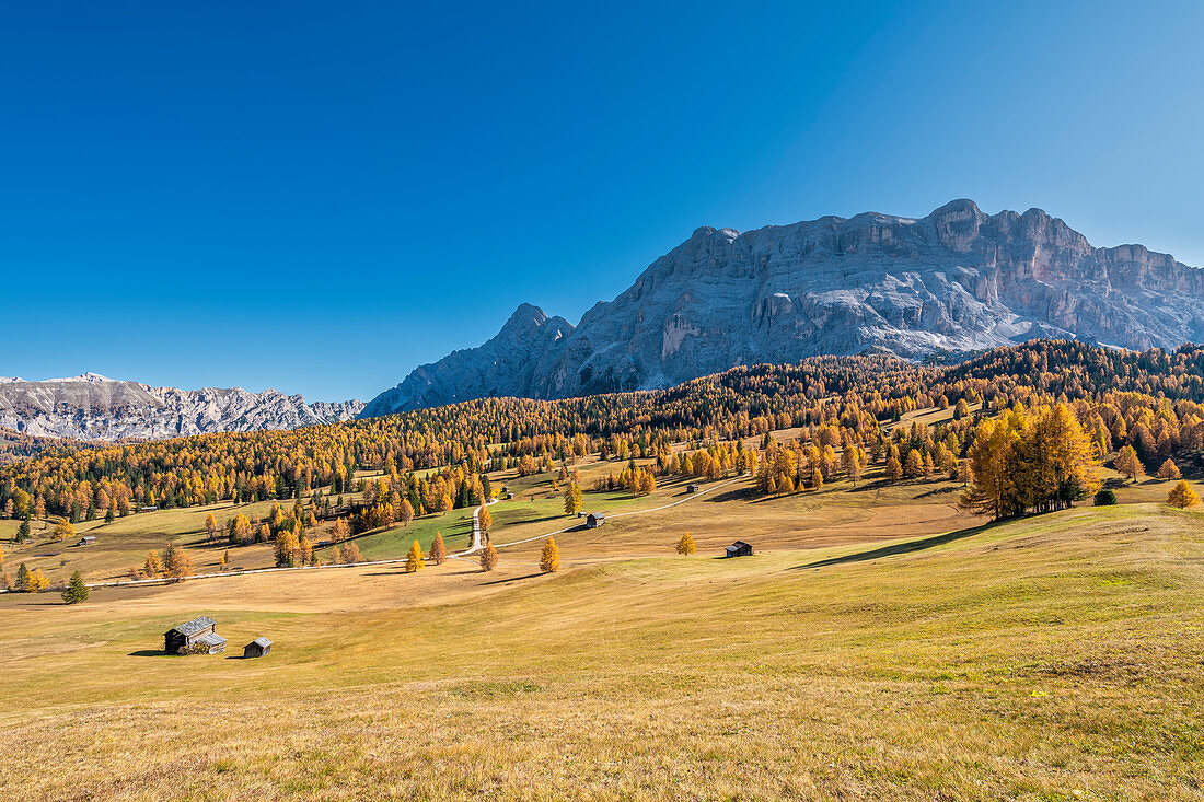 Alta Badia, Provinz Bozen, Südtirol, Italien, Europa. Herbst auf den Armentara-Wiesen oberhalb der Berge Neuner, Zehner und Heiligkreuzkofel