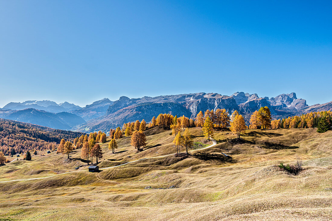 Alta Badia, Provinz Bozen, Südtirol, Italien, Europa. Herbst auf den Armentara-Wiesen, über den Moantains der Marmolada, Puez und Odle