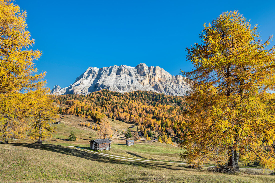 Alta Badia, Provinz Bozen, Südtirol, Italien, Europa. Herbst auf den Armentara-Wiesen oberhalb der Berge Neuner, Zehner und Heiligkreuzkofel