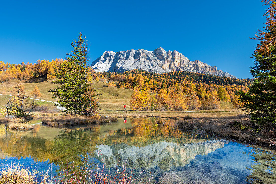 Alta Badia, Provinz Bozen, Südtirol, Italien, Europa. Herbst auf den Armentara-Wiesen oberhalb der Berge Zehner und Heiligkreuzkofel