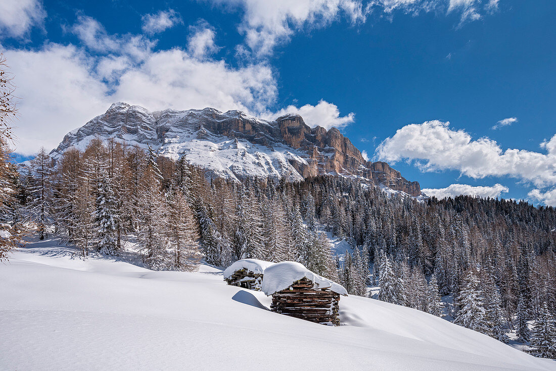 Alta Badia, Provinz Bozen, Südtirol, Italien, Europa. Winter auf den Armentara-Wiesen oberhalb der Berge Zehner und Heiligkreuzkofel