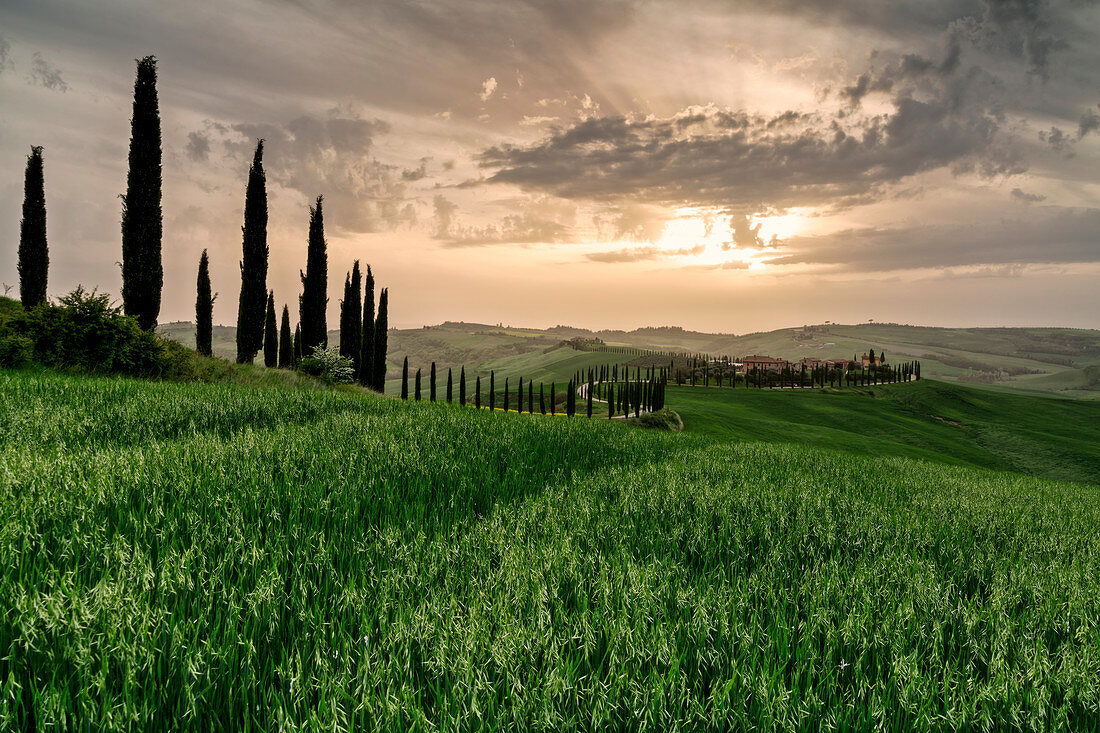 Baccoleno Bauernhaus bei Sonnenuntergang in der Provinz Siena, Toskana, Italien