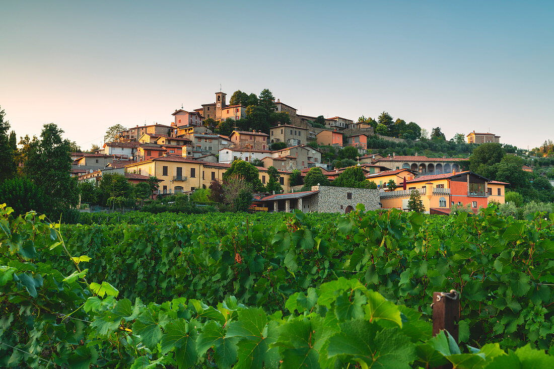 Weingut Corte de Lantieri, Provinz Brescia, Distrikt Lombardei, Italien Europa