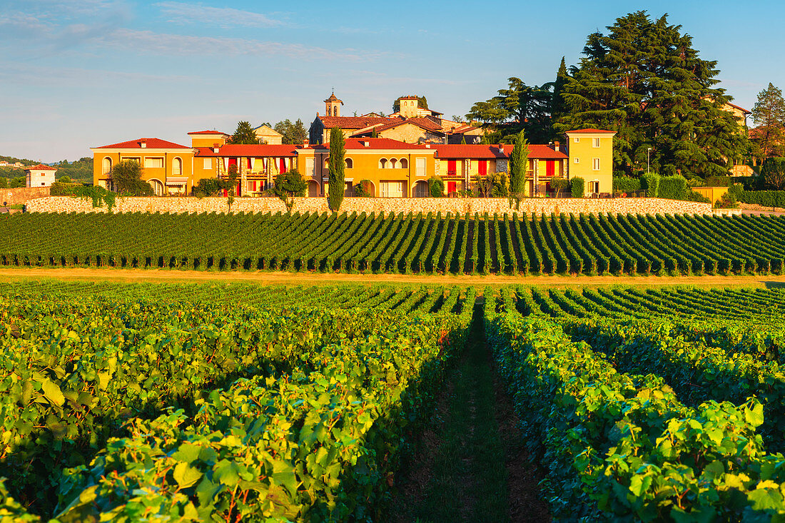 Landschaften und Weinberge der Franciacorta bei Sonnenuntergang in der Provinz Brescia, Lombardei, Italien, Europa