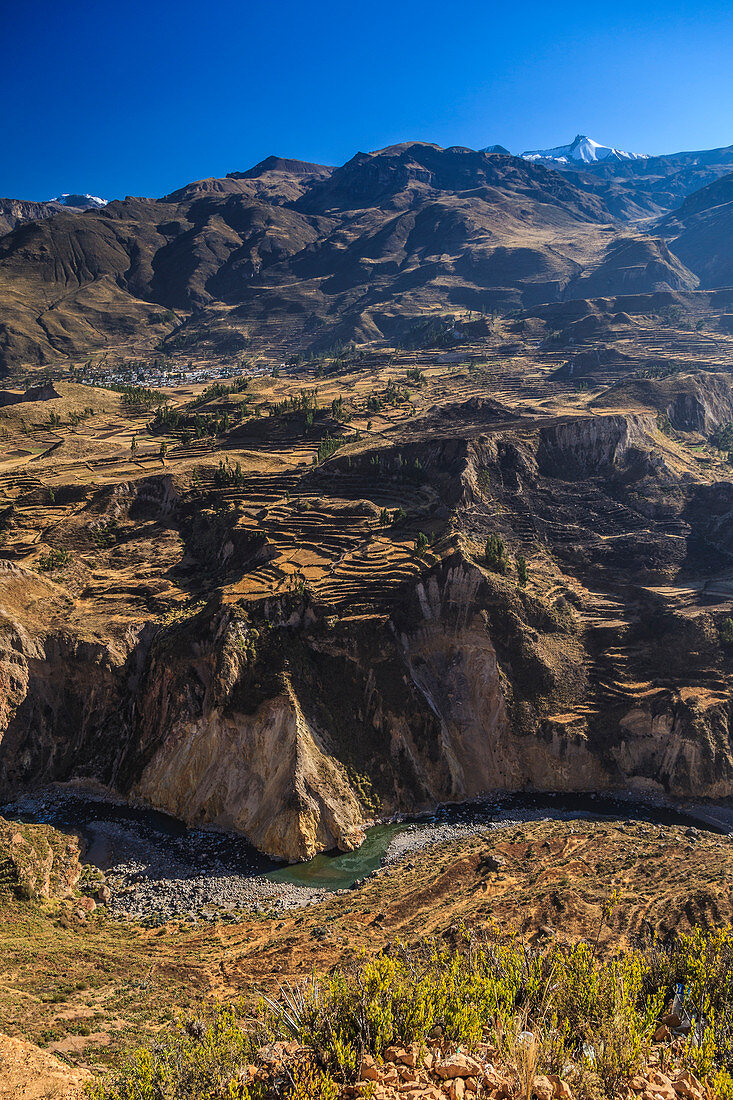 Colca Canyon, Arequipa, Peru, Südamerika