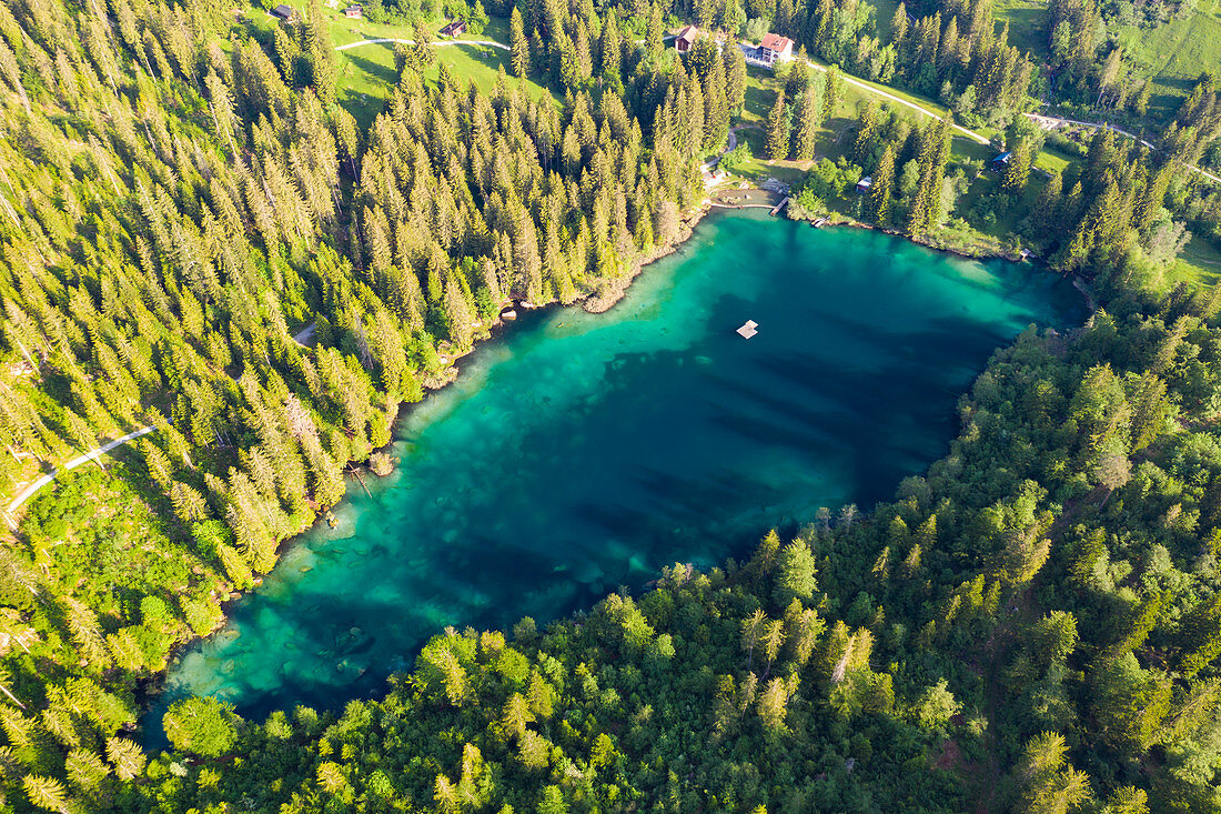 Cresta See (Crestasee) umgeben von grünen Wäldern von oben gesehen, Flims, Kanton Graubunden, Schweiz