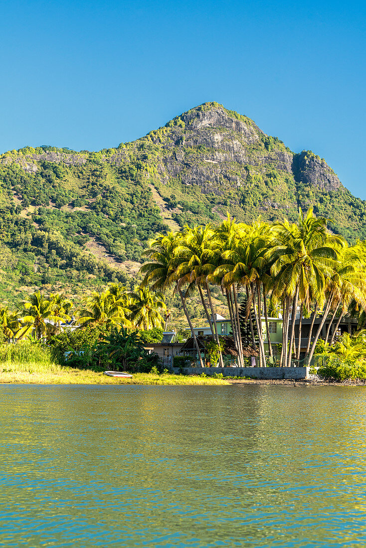 Üppige Palmen und Berge mit Blick auf die tropische Bucht, La Gaulette, Black River District, Indischer Ozean, Mauritius