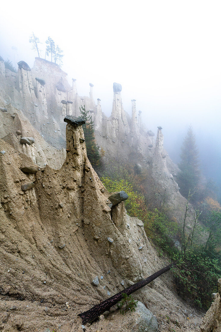 Erdpyramiden, Perca / Percha, Provinz Bozen, Südtirol, Italien